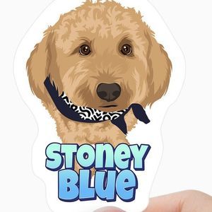 Meet your Posher, Angie